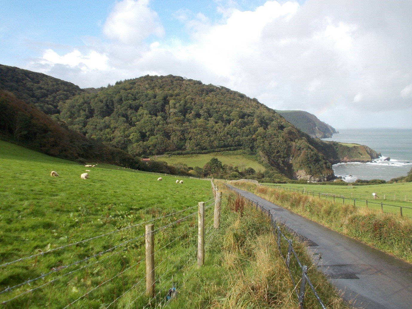 Exmoor forestry and coastline